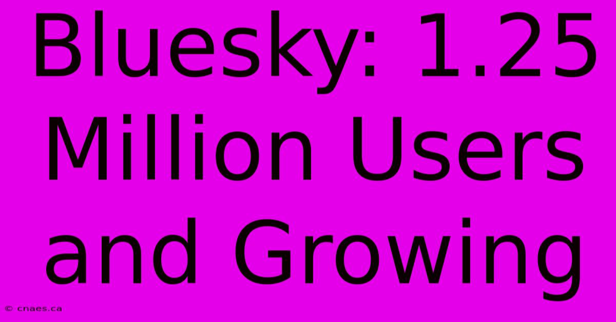 Bluesky: 1.25 Million Users And Growing