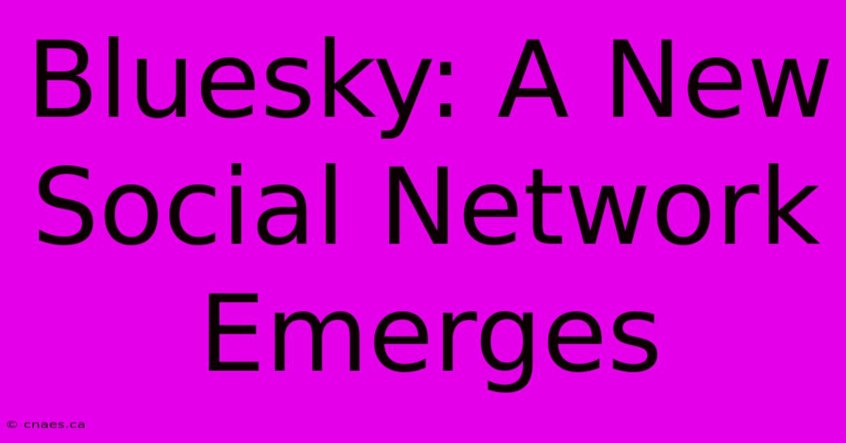 Bluesky: A New Social Network Emerges