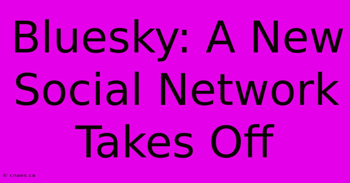 Bluesky: A New Social Network Takes Off 