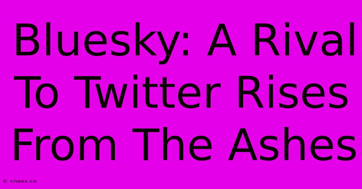 Bluesky: A Rival To Twitter Rises From The Ashes 