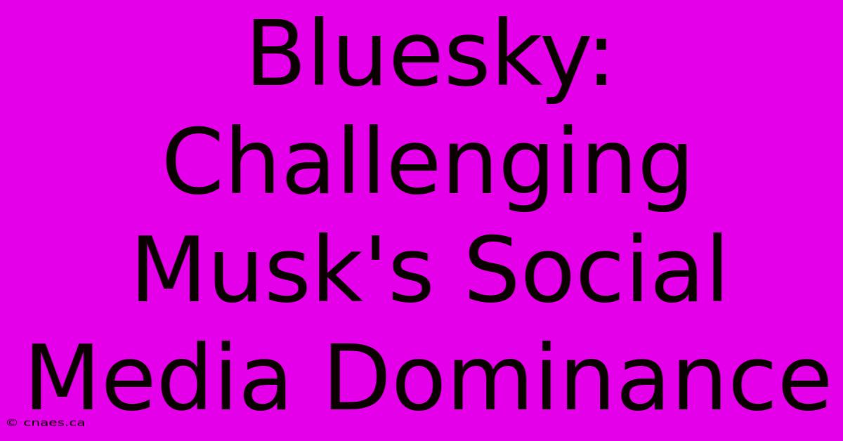 Bluesky: Challenging Musk's Social Media Dominance