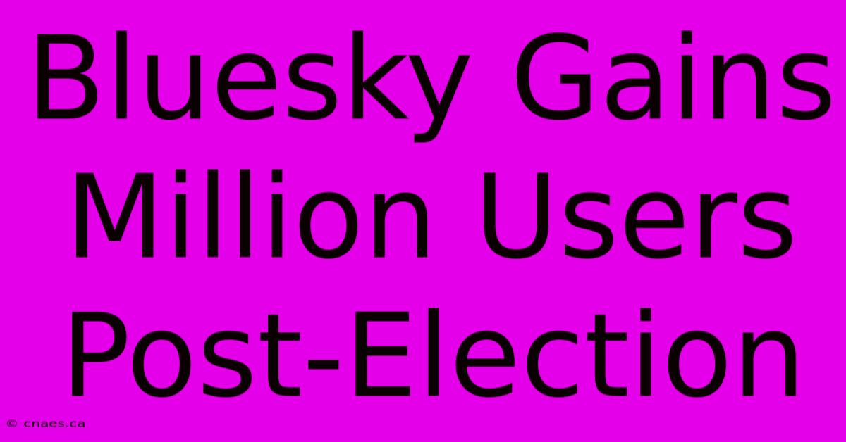 Bluesky Gains Million Users Post-Election