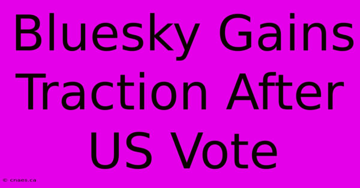 Bluesky Gains Traction After US Vote