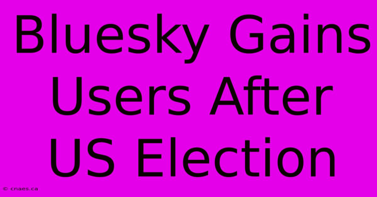 Bluesky Gains Users After US Election