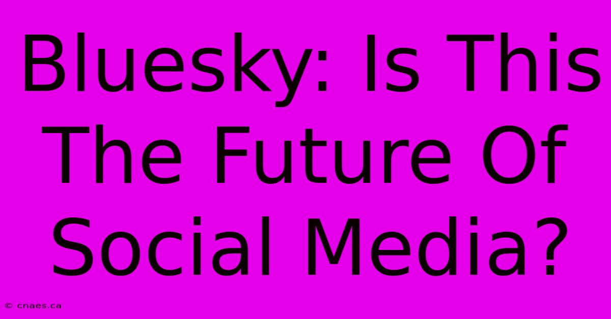 Bluesky: Is This The Future Of Social Media?