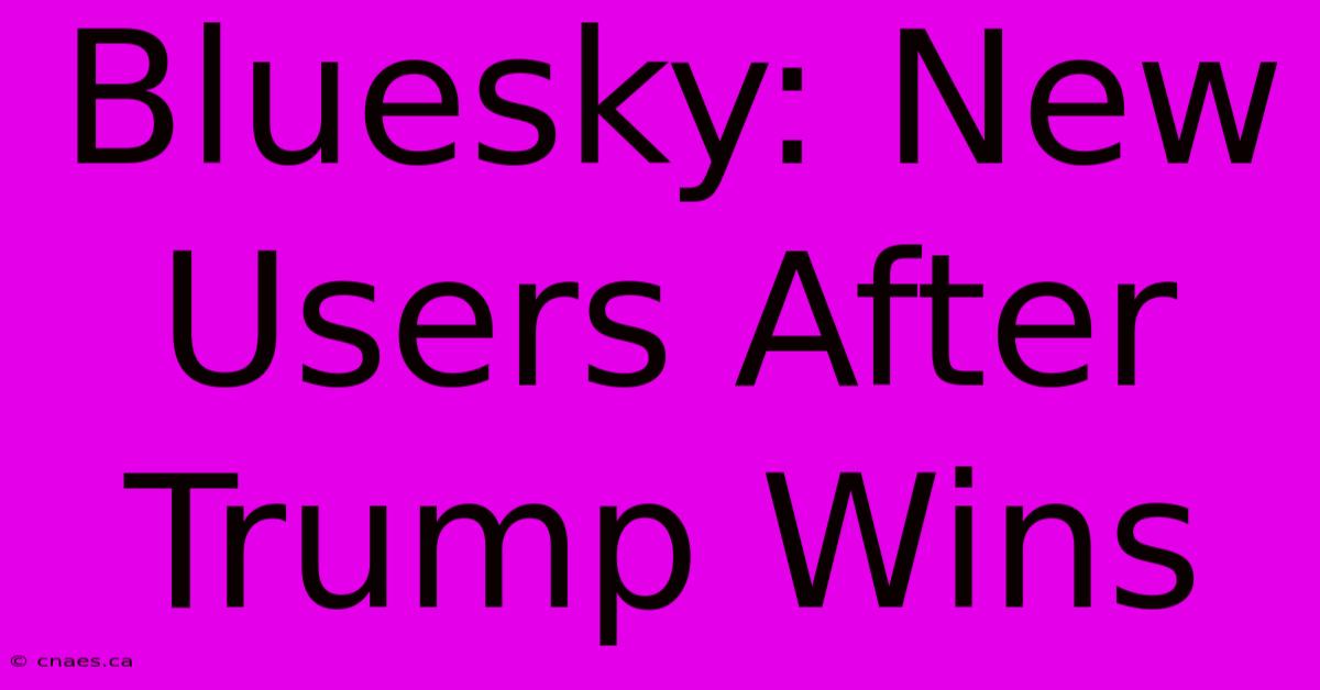 Bluesky: New Users After Trump Wins 