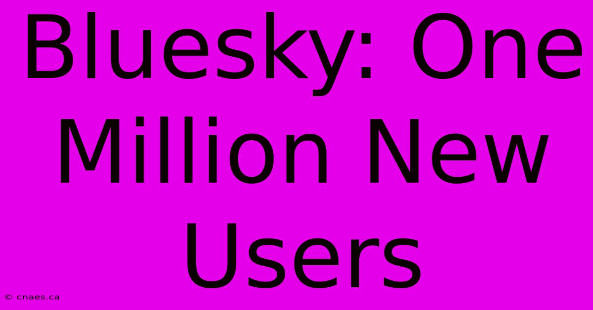 Bluesky: One Million New Users