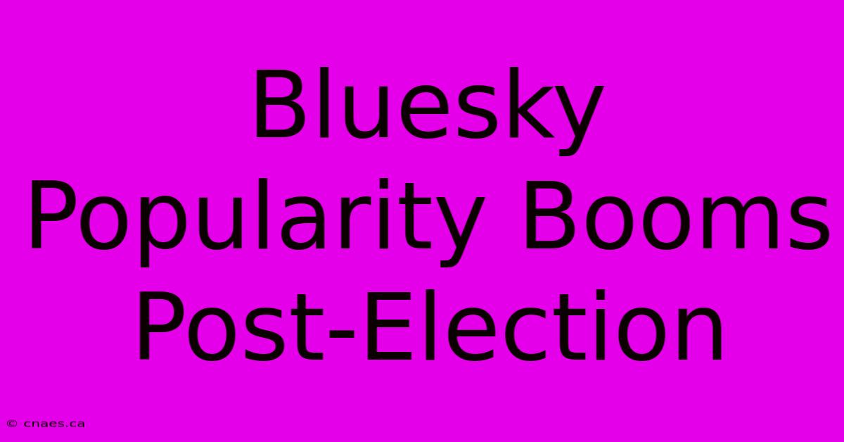 Bluesky Popularity Booms Post-Election 