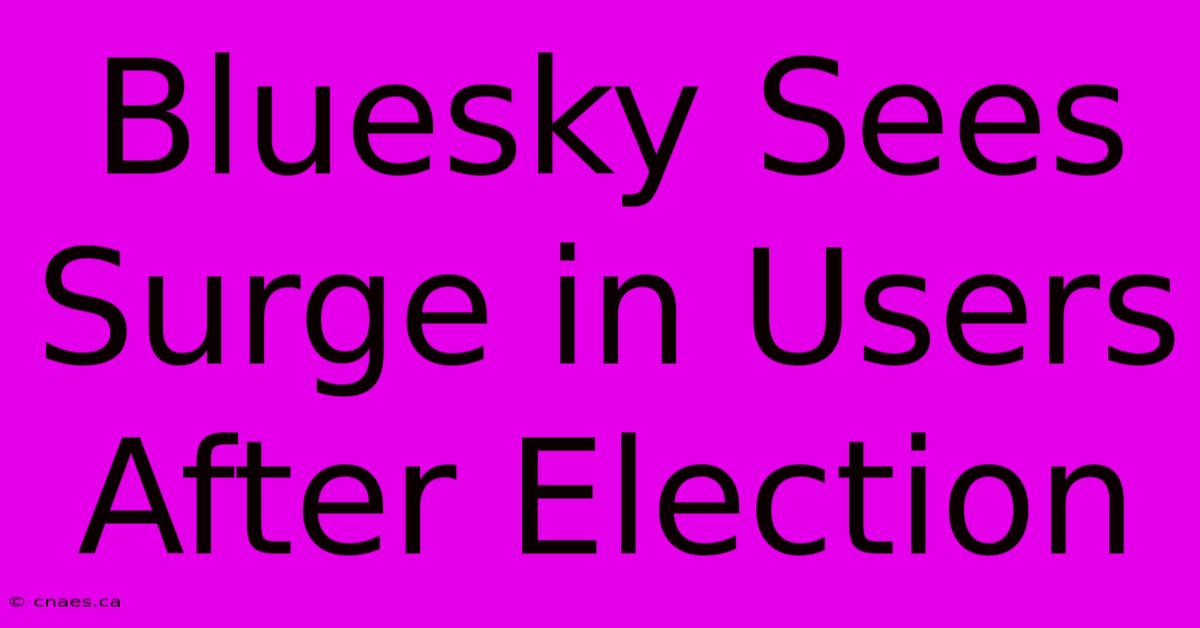 Bluesky Sees Surge In Users After Election