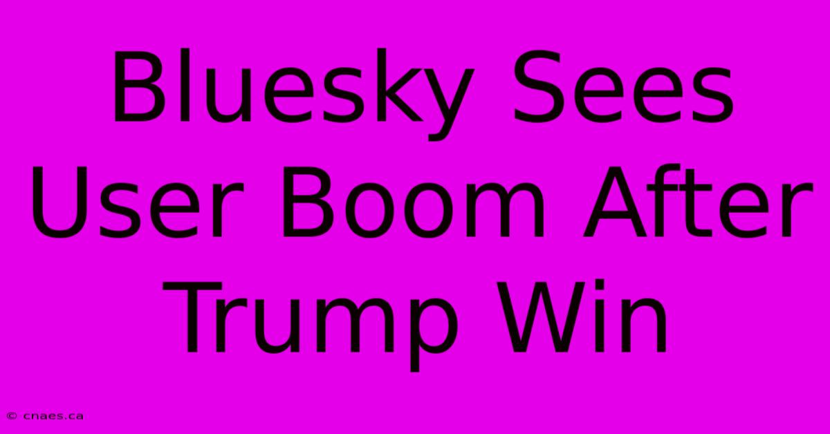 Bluesky Sees User Boom After Trump Win