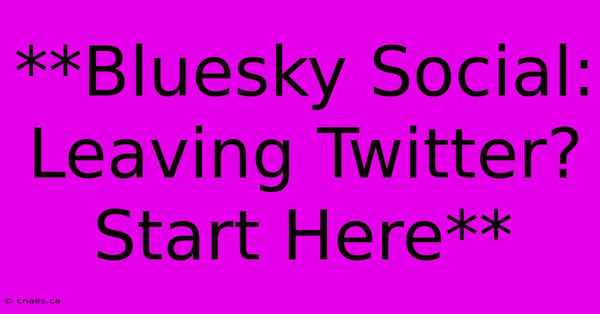 **Bluesky Social: Leaving Twitter? Start Here**