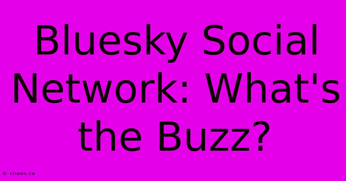 Bluesky Social Network: What's The Buzz?