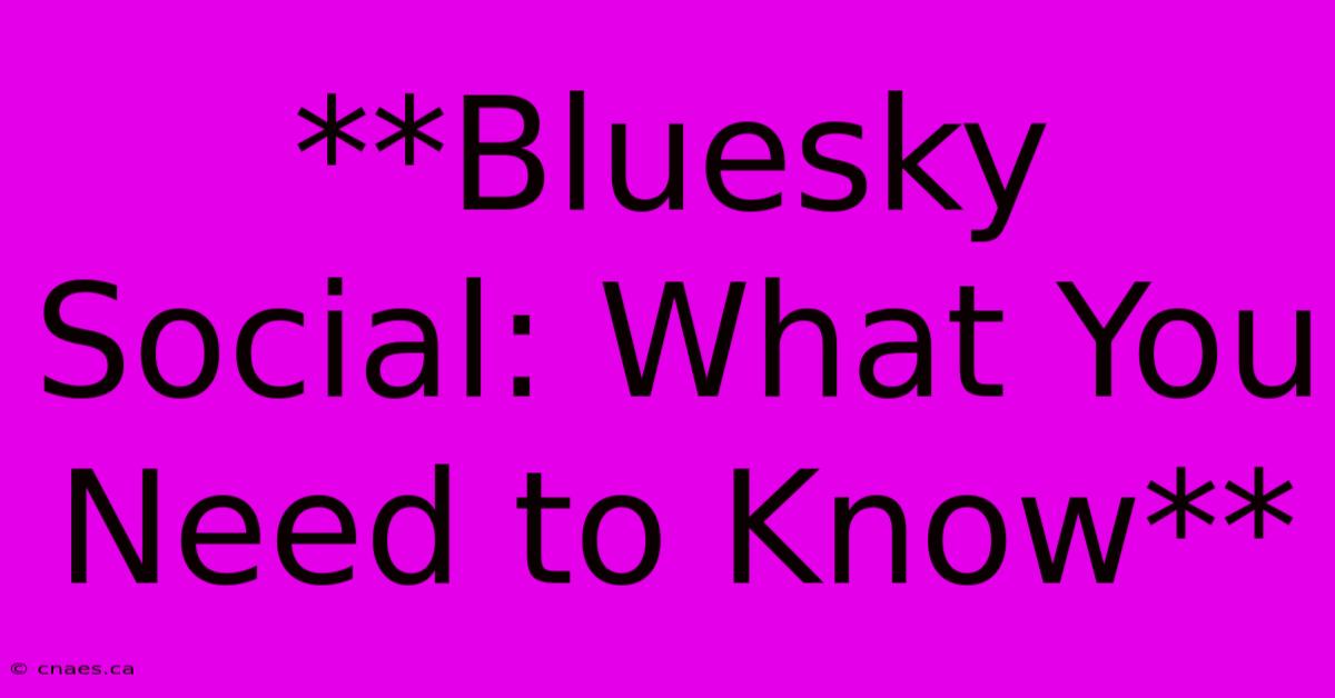 **Bluesky Social: What You Need To Know** 