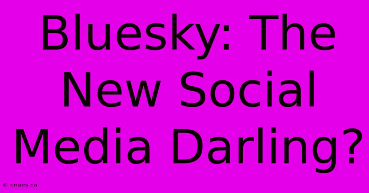 Bluesky: The New Social Media Darling? 