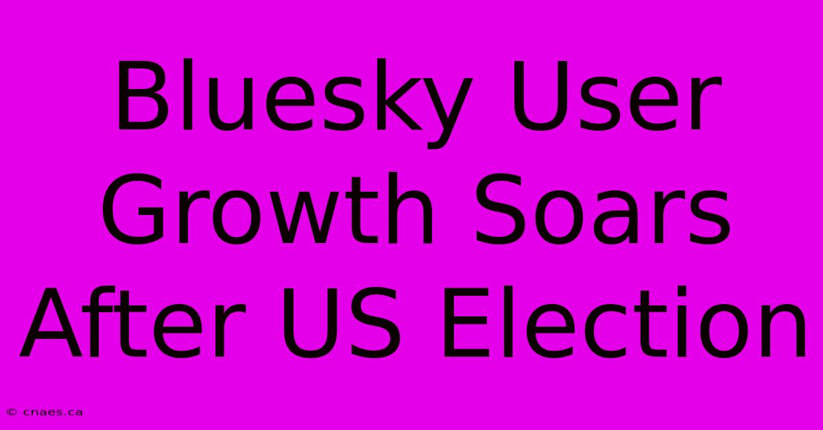 Bluesky User Growth Soars After US Election