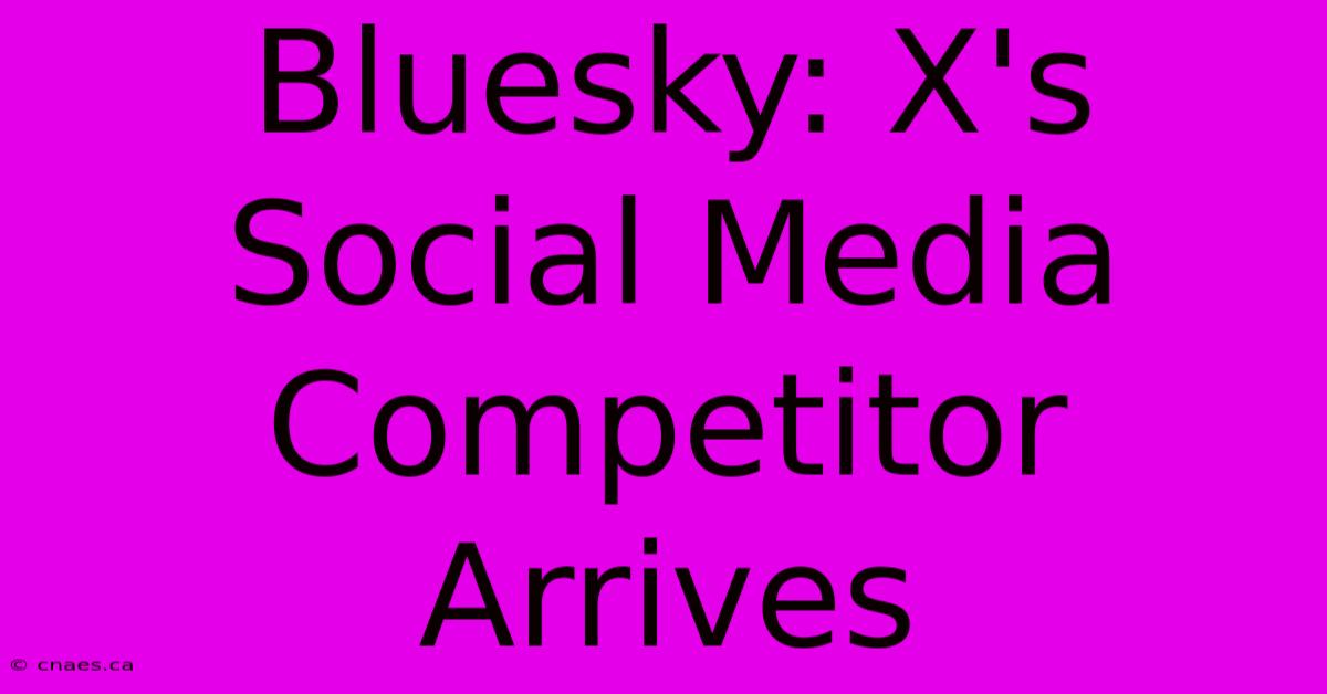 Bluesky: X's Social Media Competitor Arrives