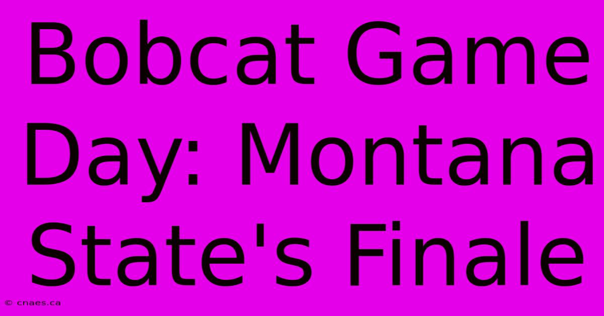 Bobcat Game Day: Montana State's Finale