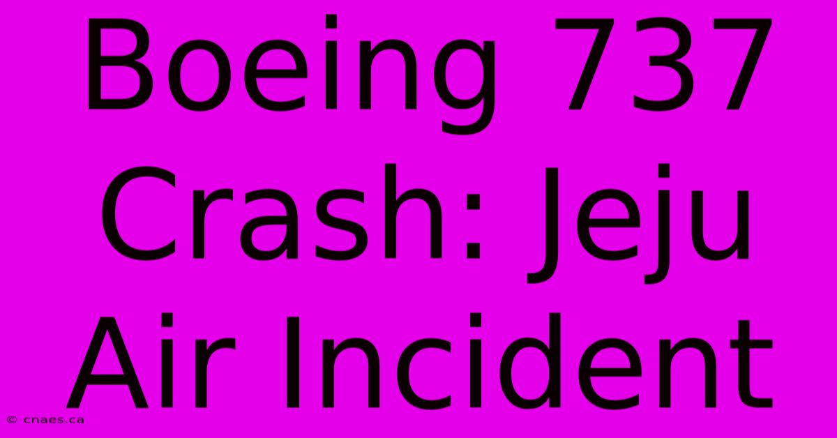 Boeing 737 Crash: Jeju Air Incident