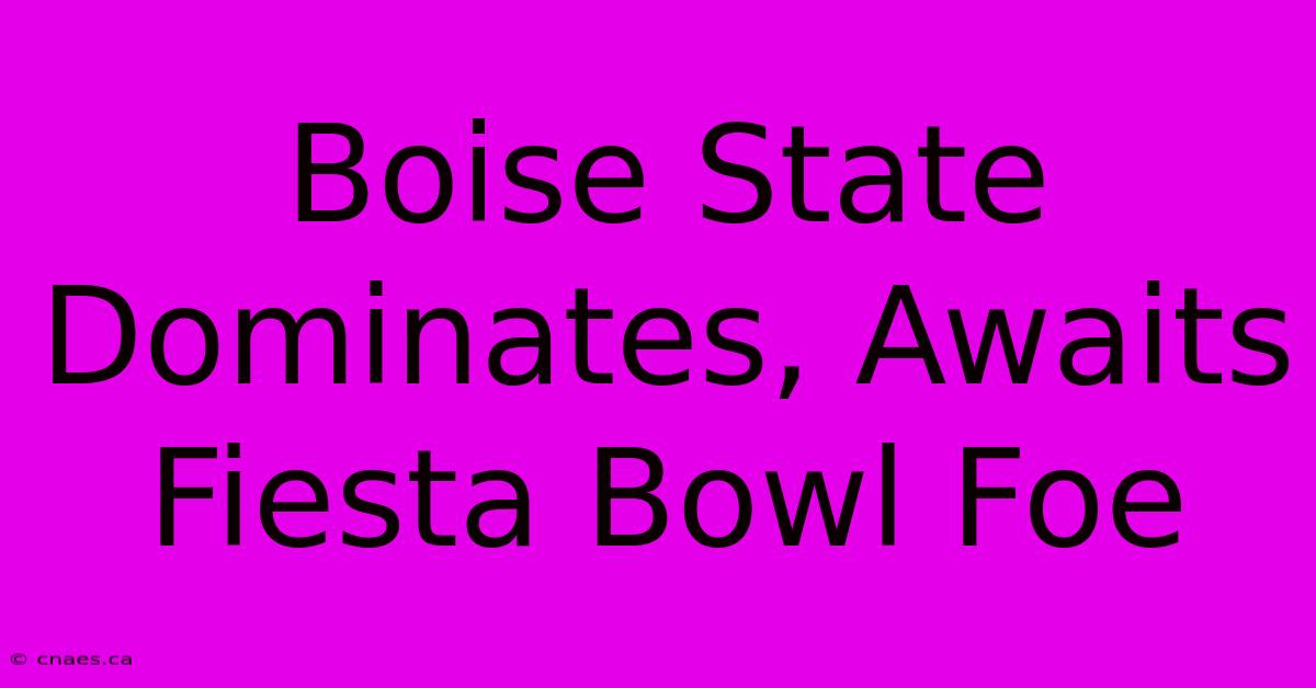 Boise State Dominates, Awaits Fiesta Bowl Foe