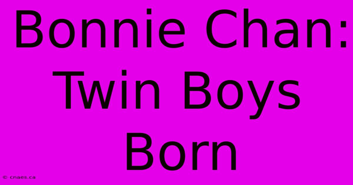 Bonnie Chan: Twin Boys Born