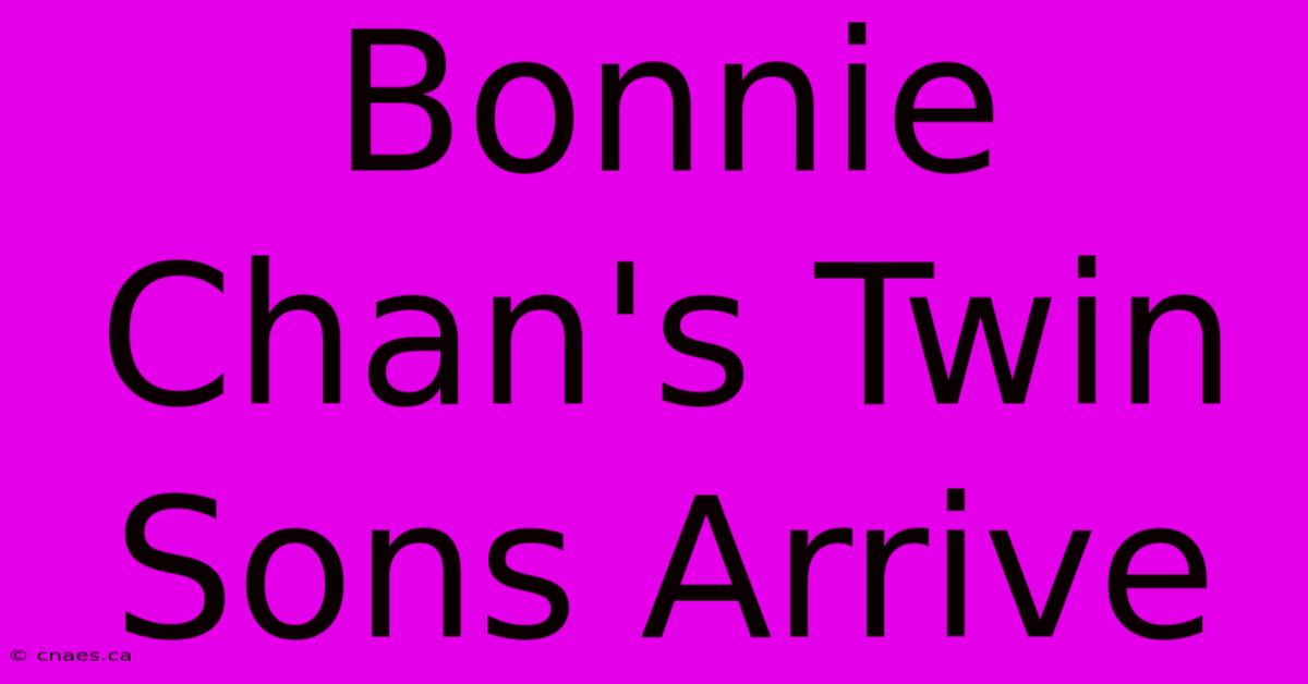 Bonnie Chan's Twin Sons Arrive