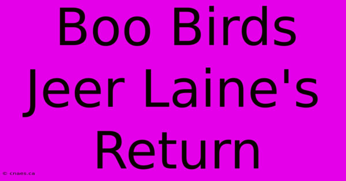 Boo Birds Jeer Laine's Return