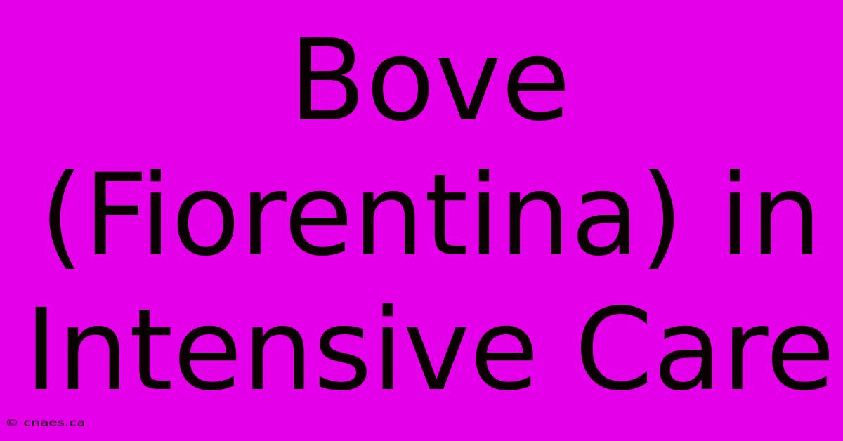 Bove (Fiorentina) In Intensive Care