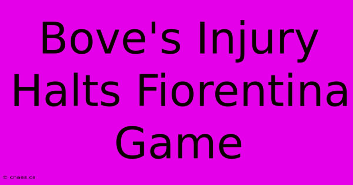 Bove's Injury Halts Fiorentina Game