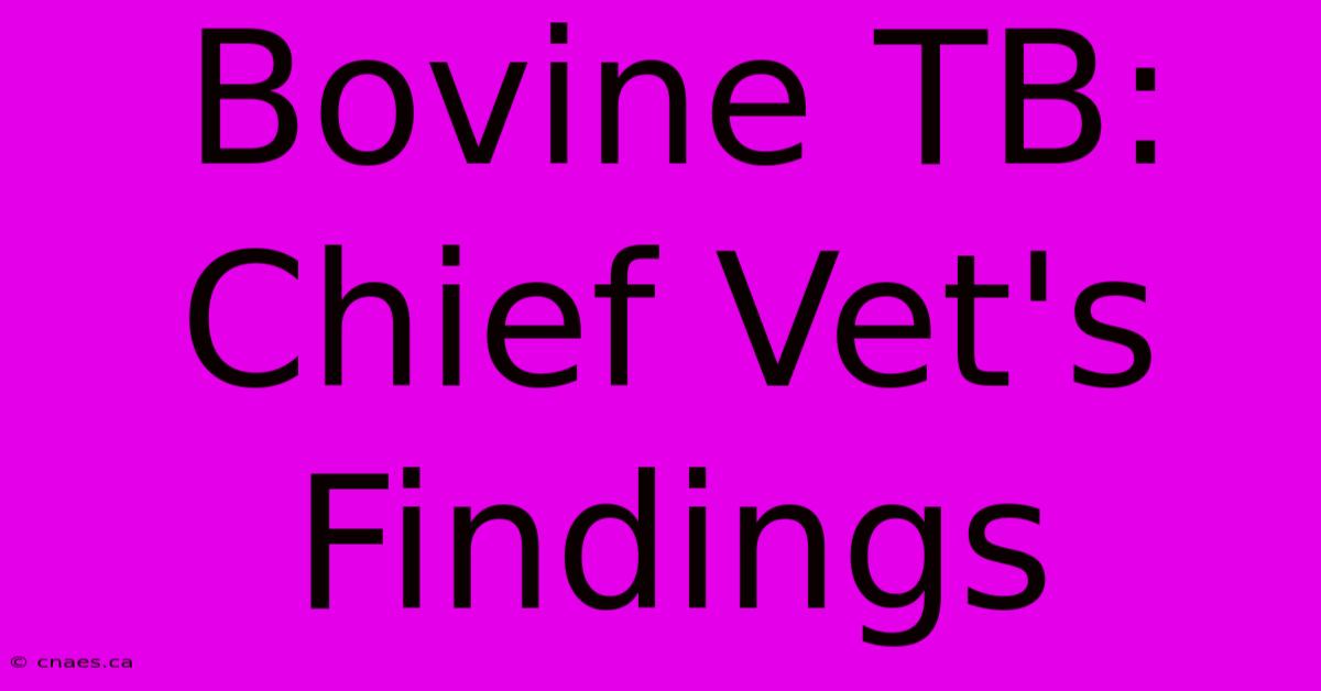 Bovine TB: Chief Vet's Findings