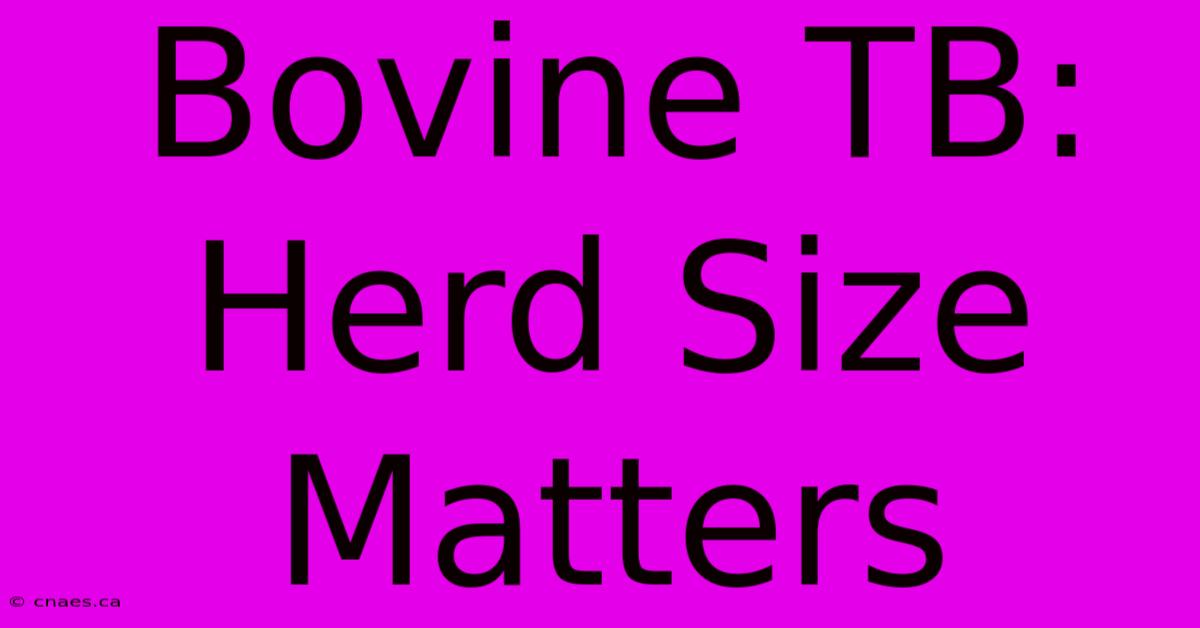 Bovine TB: Herd Size Matters