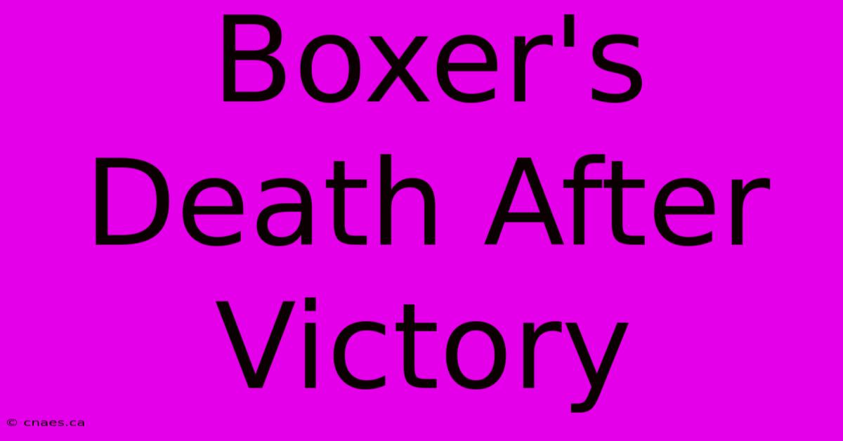 Boxer's Death After Victory