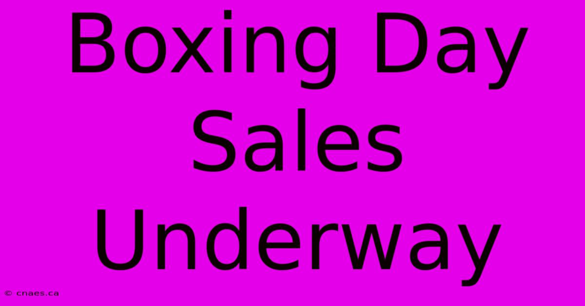 Boxing Day Sales Underway