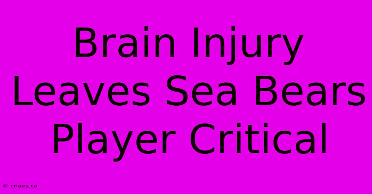 Brain Injury Leaves Sea Bears Player Critical 