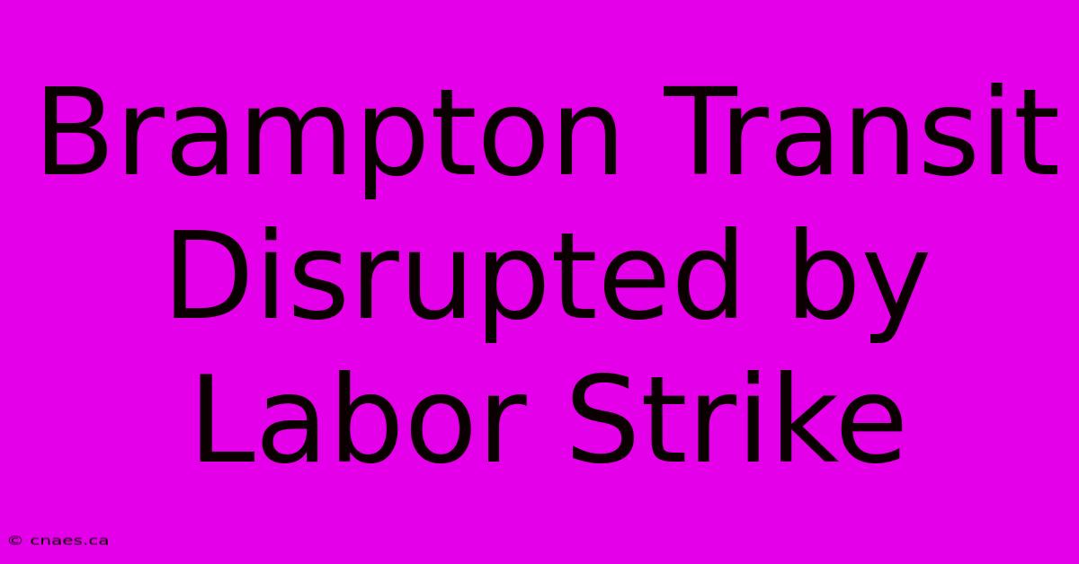 Brampton Transit Disrupted By Labor Strike