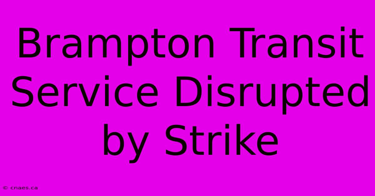 Brampton Transit Service Disrupted By Strike