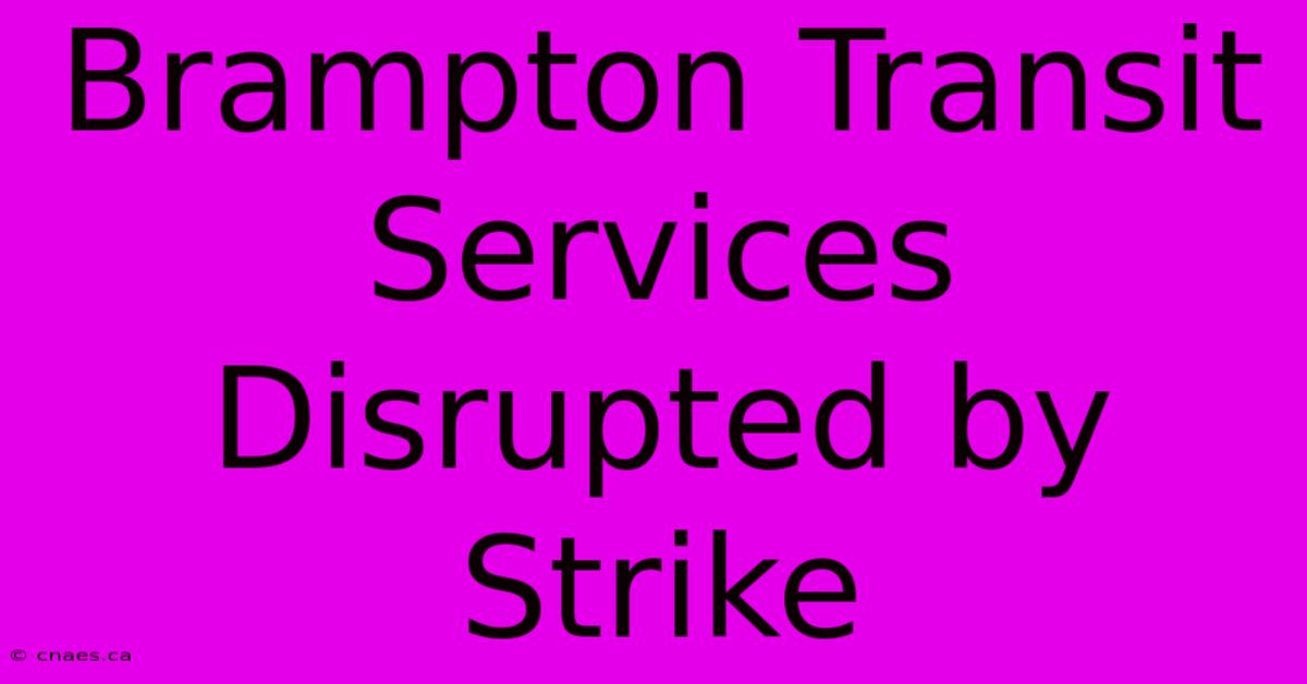 Brampton Transit Services Disrupted By Strike 