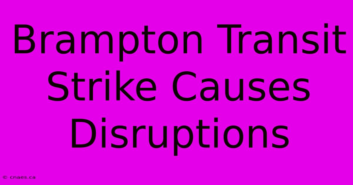 Brampton Transit Strike Causes Disruptions