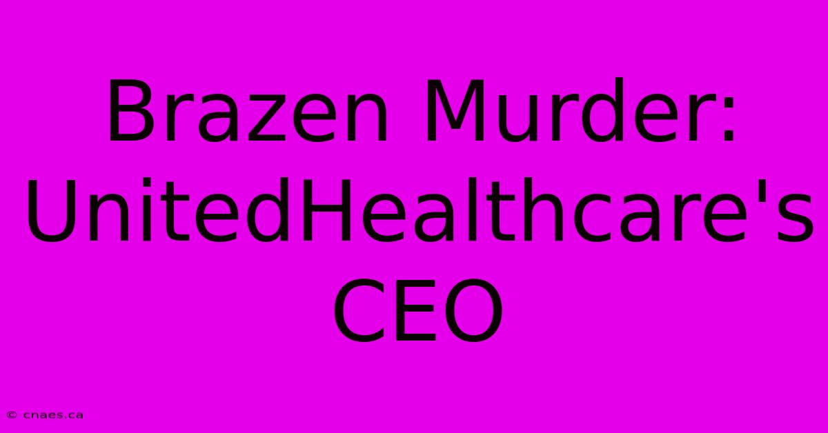 Brazen Murder: UnitedHealthcare's CEO