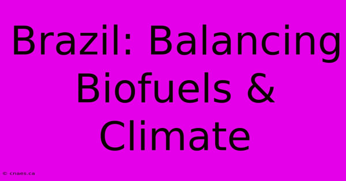 Brazil: Balancing Biofuels & Climate