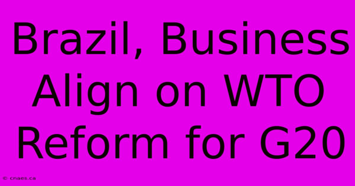 Brazil, Business Align On WTO Reform For G20