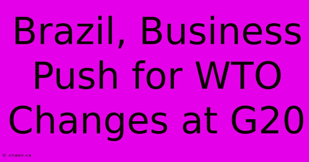 Brazil, Business Push For WTO Changes At G20