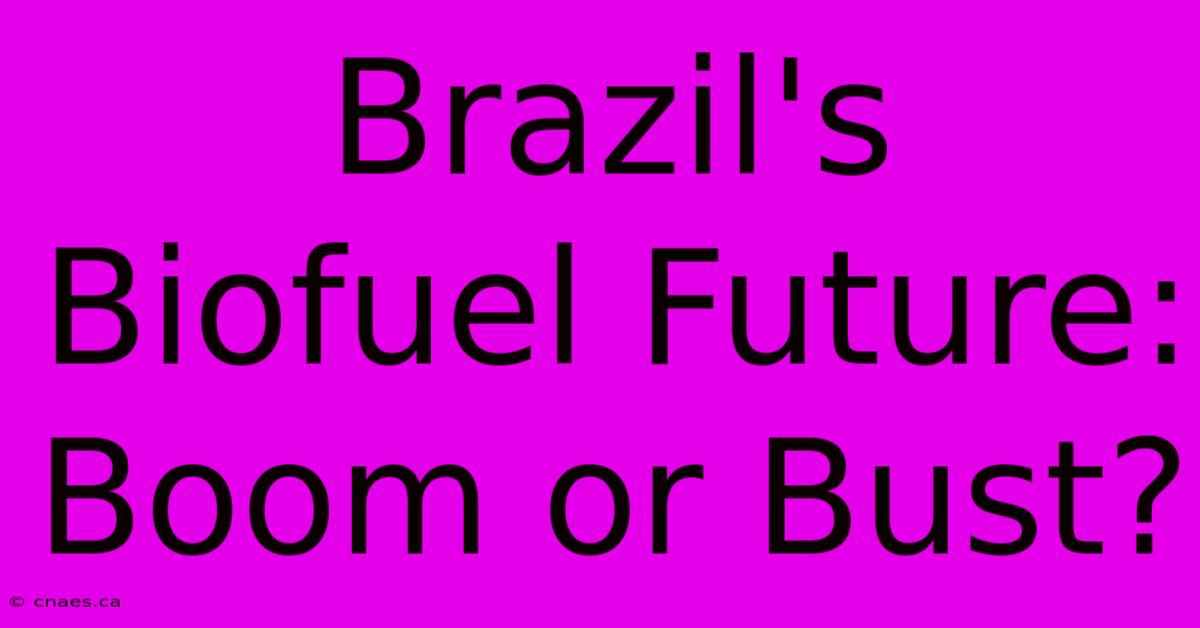 Brazil's Biofuel Future: Boom Or Bust?