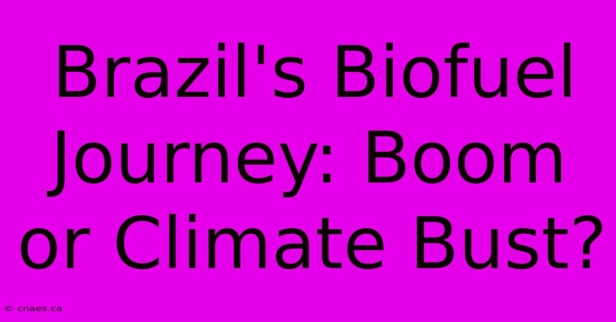 Brazil's Biofuel Journey: Boom Or Climate Bust?