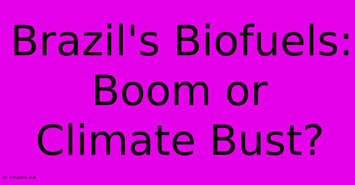 Brazil's Biofuels: Boom Or Climate Bust?