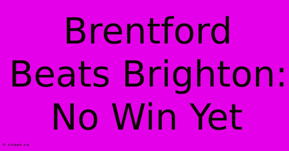 Brentford Beats Brighton: No Win Yet