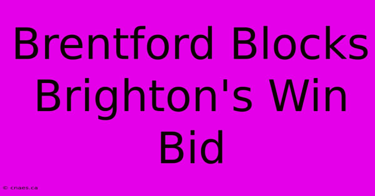 Brentford Blocks Brighton's Win Bid