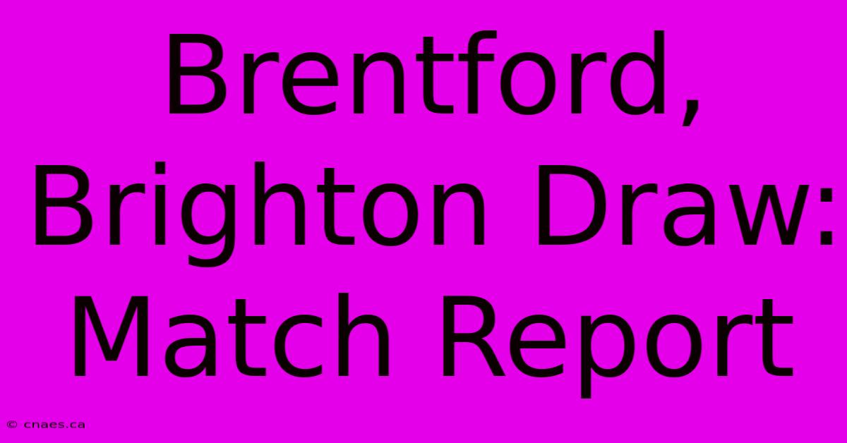 Brentford, Brighton Draw: Match Report