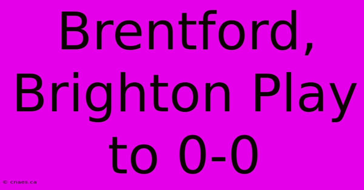 Brentford, Brighton Play To 0-0