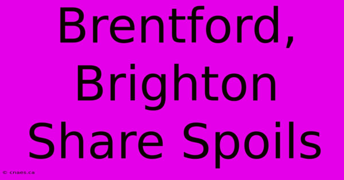 Brentford, Brighton Share Spoils