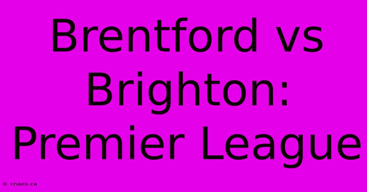 Brentford Vs Brighton: Premier League